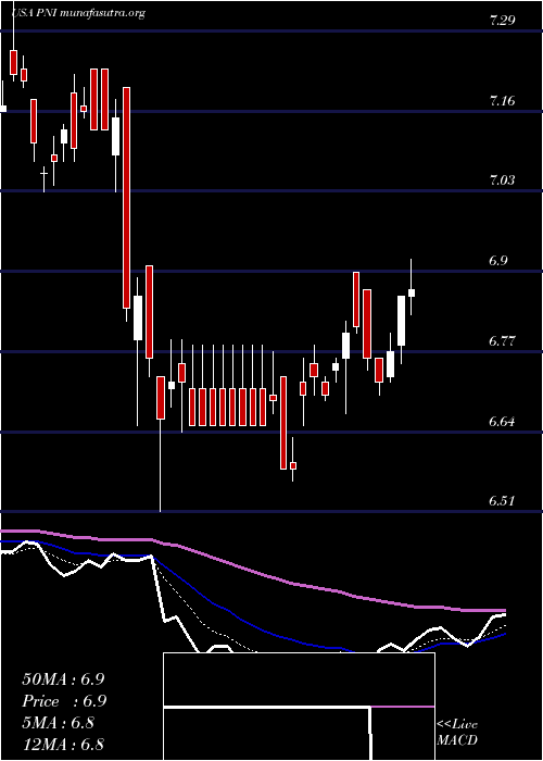  Daily chart PimcoNew