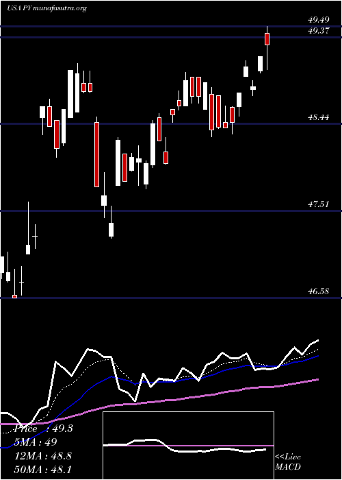  Daily chart PrincipalShareholder