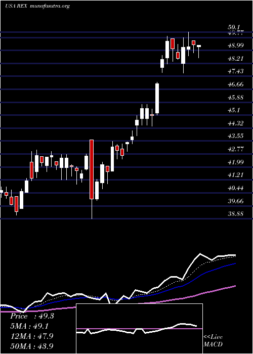  Daily chart RexAmerican