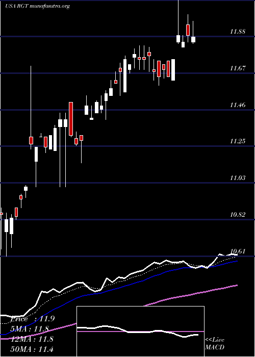  Daily chart RoyceGlobal