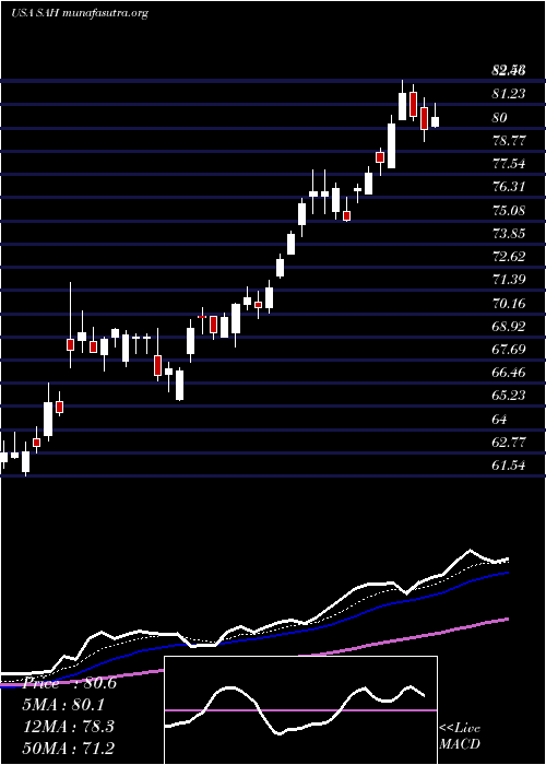  Daily chart SonicAutomotive