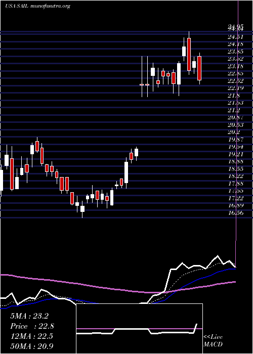  Daily chart SailpointTechnologies