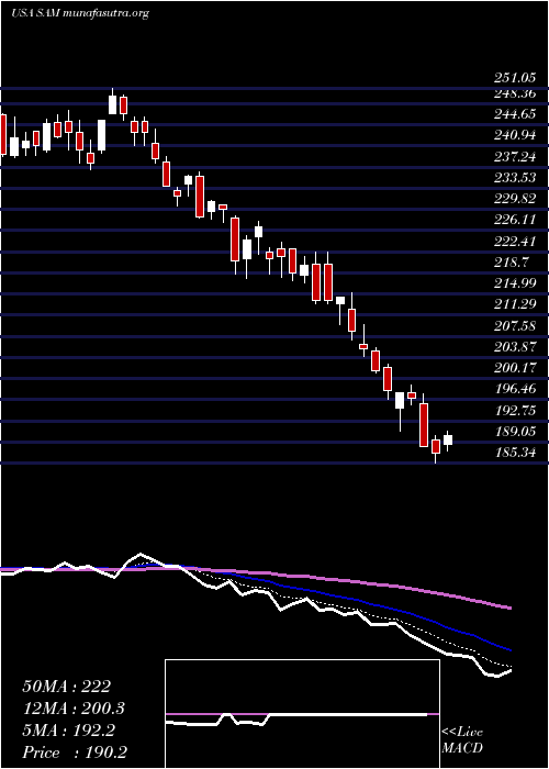  Daily chart BostonBeer