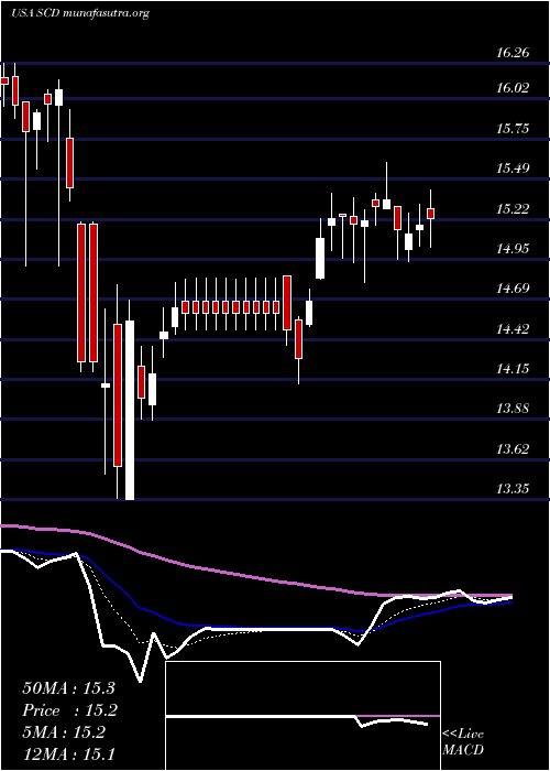  Daily chart LmpCapital