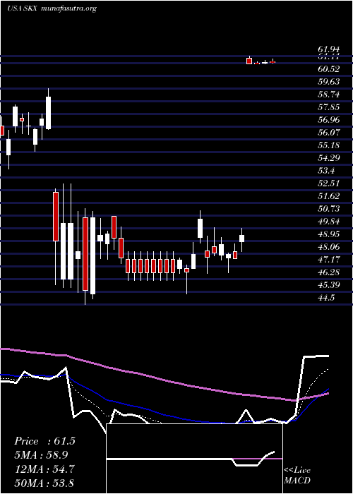  Daily chart SkechersU