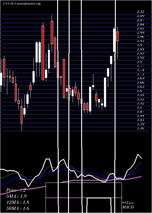  Daily chart SellasLife
