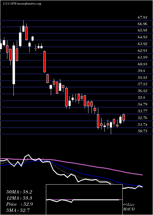  Daily chart SpectrumBrands