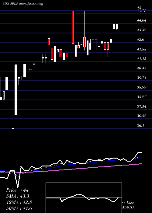  Daily chart SteelPartners