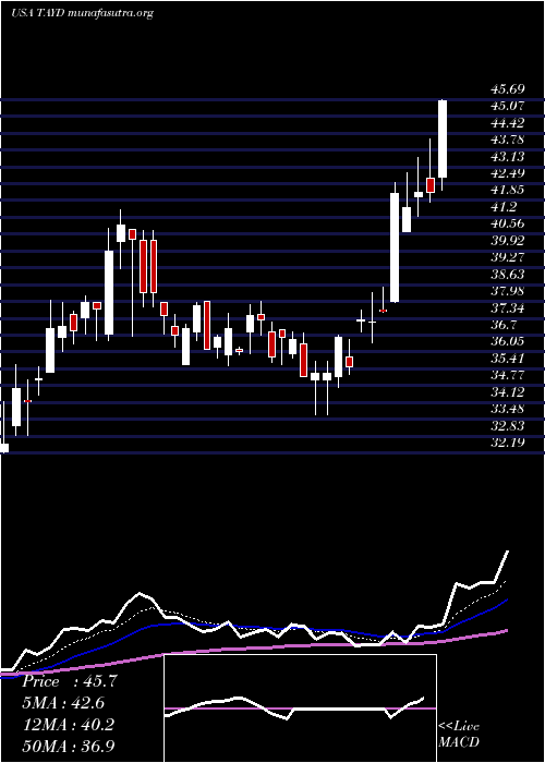  Daily chart TaylorDevices