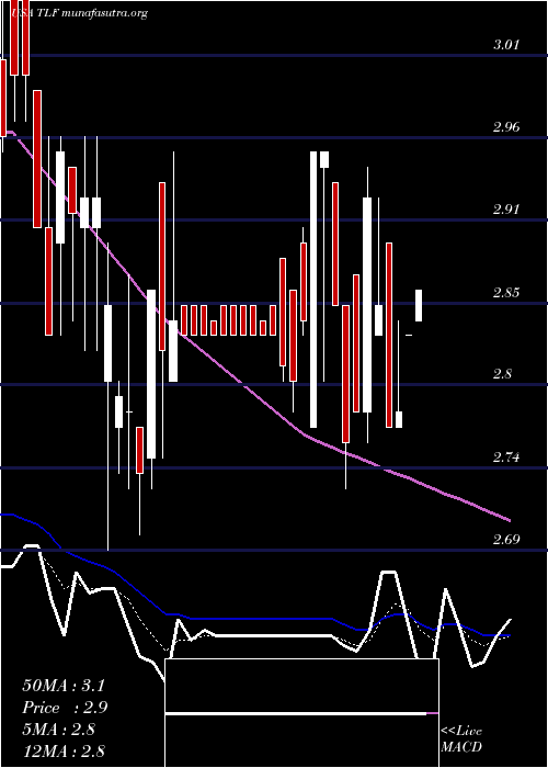  Daily chart TandyLeather