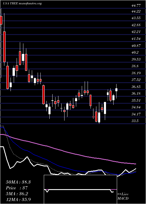  Daily chart LendingtreeInc