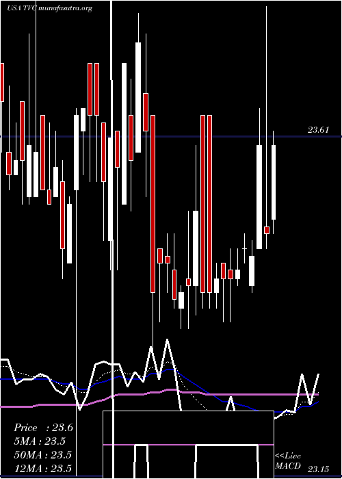  Daily chart TennesseeValley