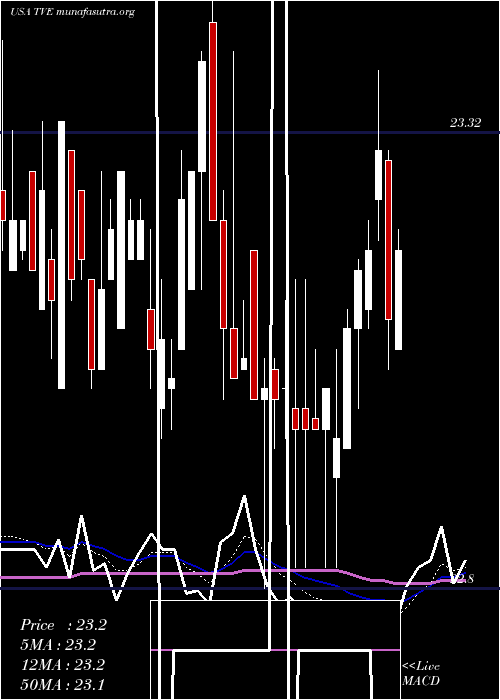  Daily chart TennesseeValley