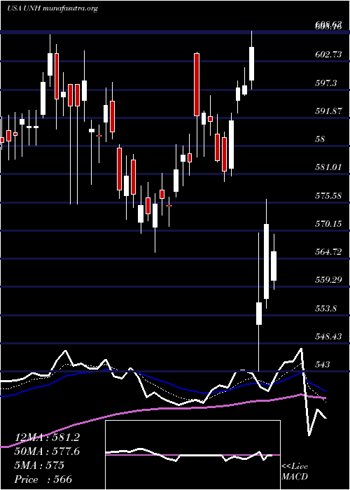  Daily chart UnitedhealthGroup