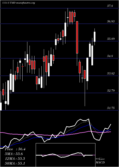  Daily chart UtahMedical