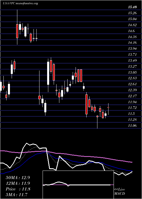  Daily chart VF