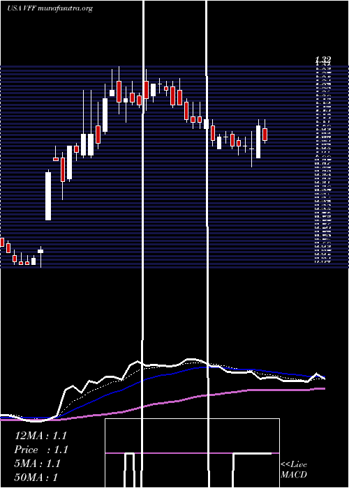  Daily chart VillageFarms