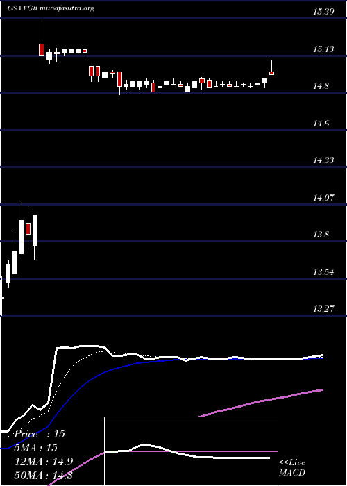  Daily chart VectorGroup