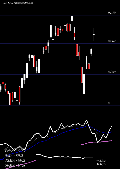  Daily chart VanguardInternational