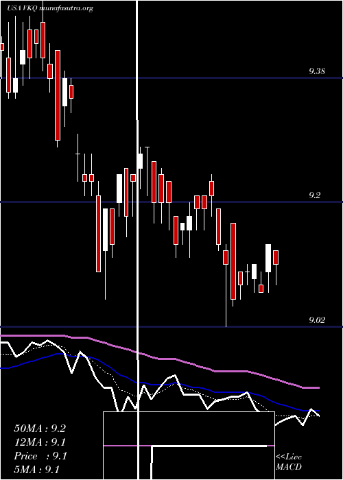  Daily chart InvescoMunicipal