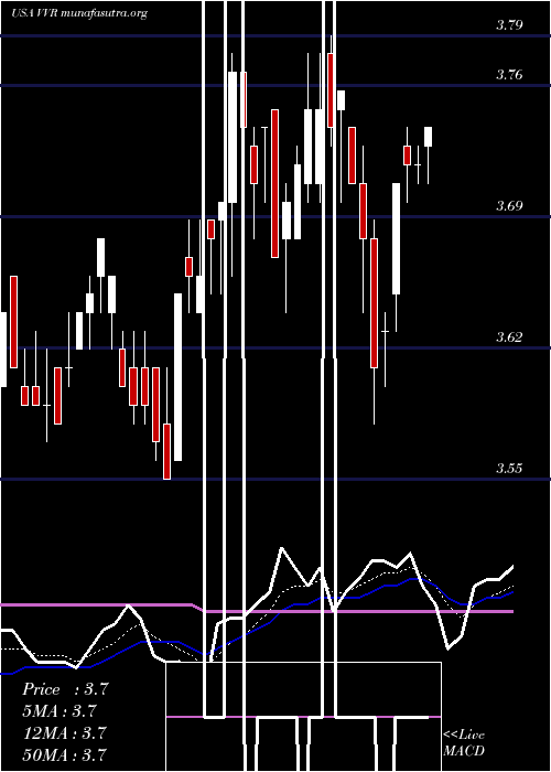  Daily chart InvescoSenior