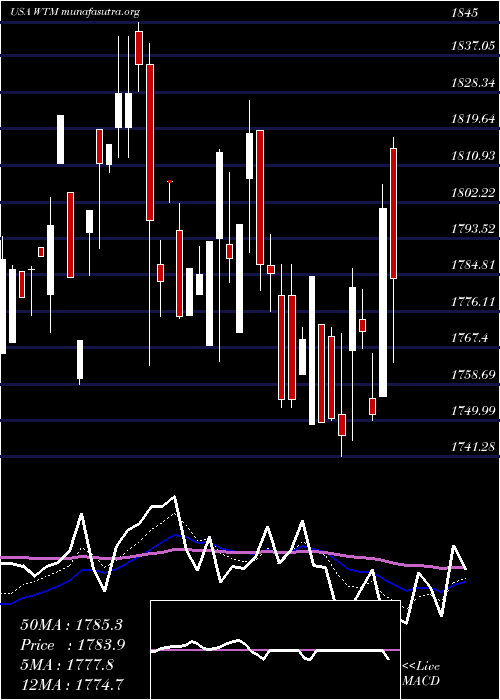  Daily chart WhiteMountains