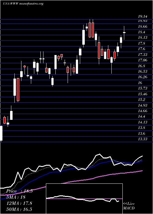  Daily chart WolverineWorld