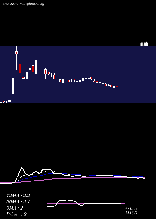  Daily chart ZkInternational