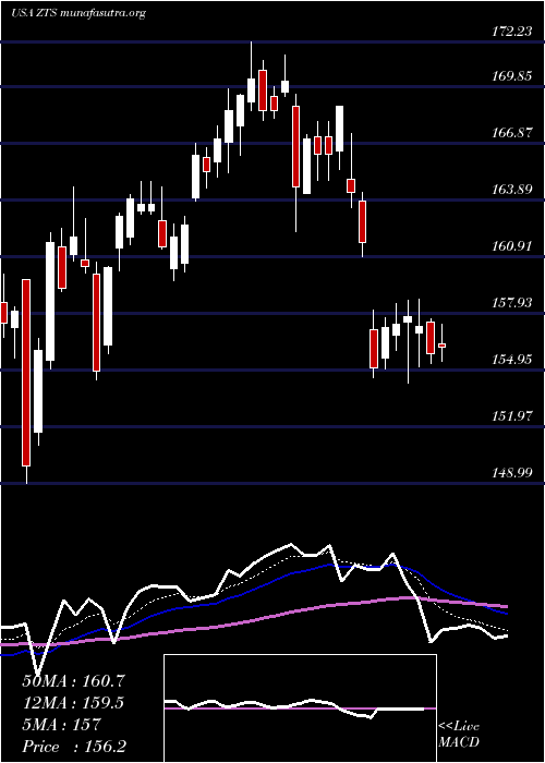  Daily chart ZoetisInc