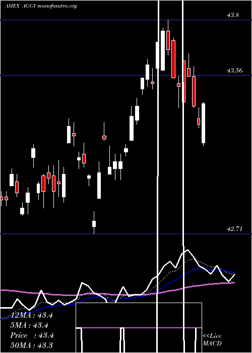  Daily chart WisdomtreeTrust