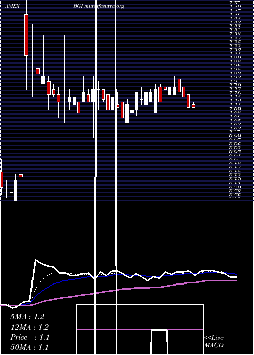  Daily chart BirksGroup