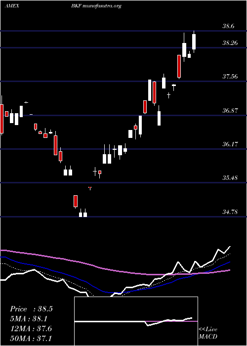  Daily chart BricIndex