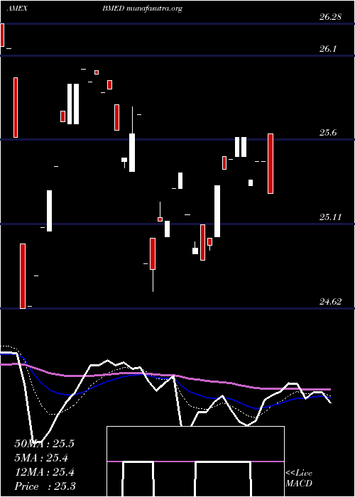  Daily chart BlackrockFuture