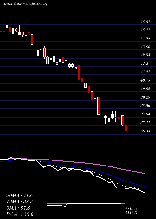  Daily chart PacerUs