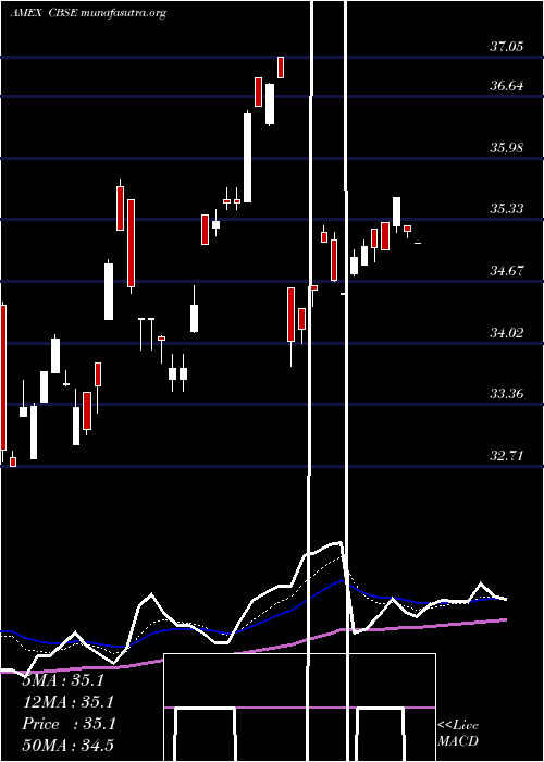  Daily chart ChangebridgeCapital