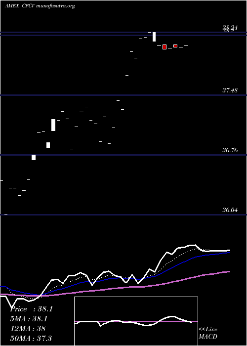  Daily chart ClearbridgeFocus