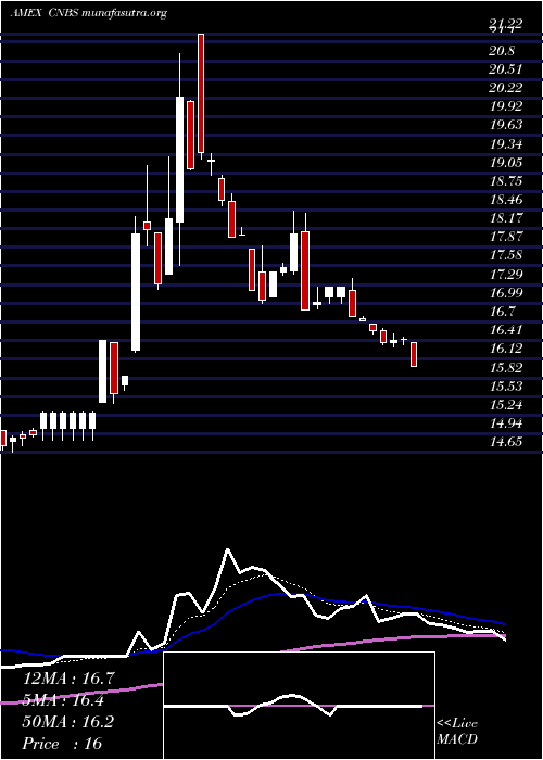  Daily chart AmplifySeymour