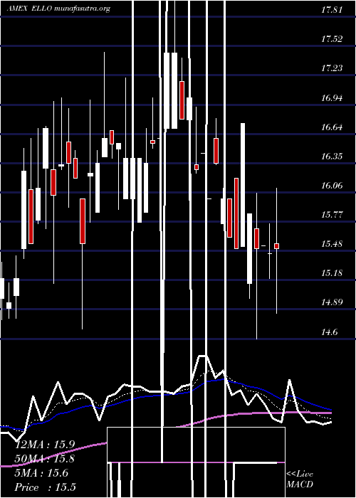  Daily chart EllomayCapital