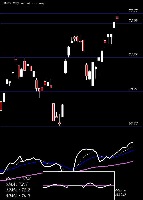  Daily chart AmericanCentury