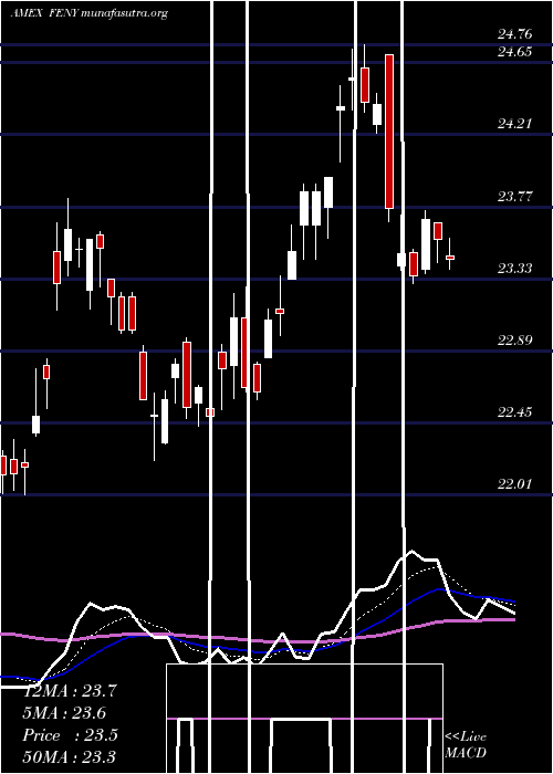  Daily chart FidelityMsci