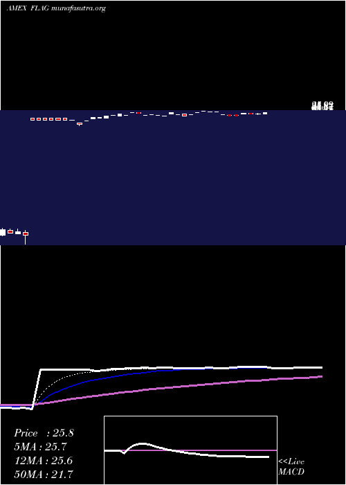  Daily chart ForensicAccounting