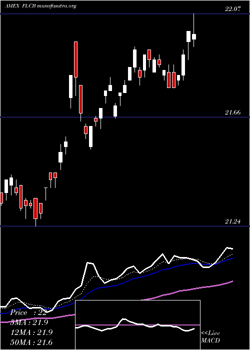  Daily chart FranklinLiberty