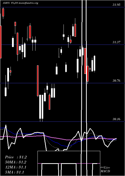  Daily chart JapanHedged