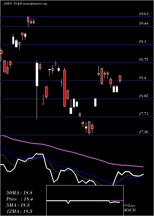  Daily chart SouthKorea