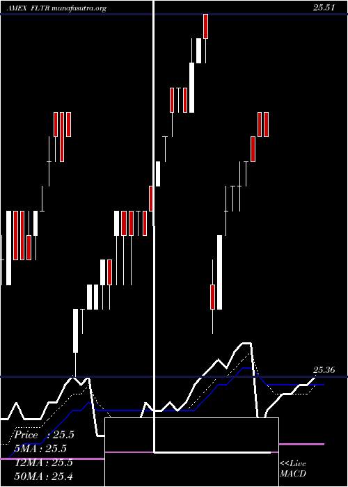  Daily chart MarketVectors