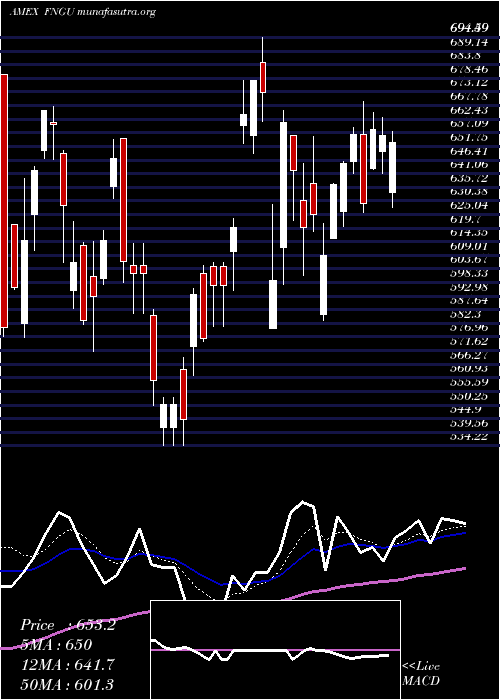  Daily chart MicrosectorsFang