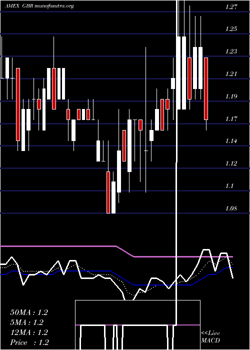  Daily chart NewConcept