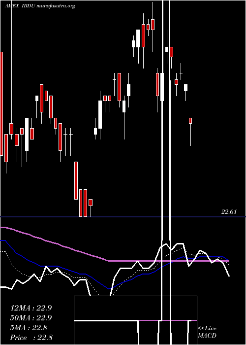  Daily chart IsharesIbonds