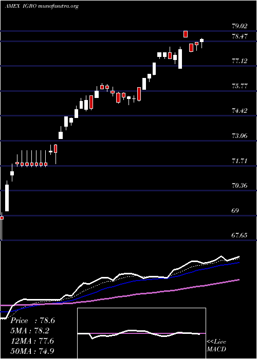 Daily chart IsharesInternational