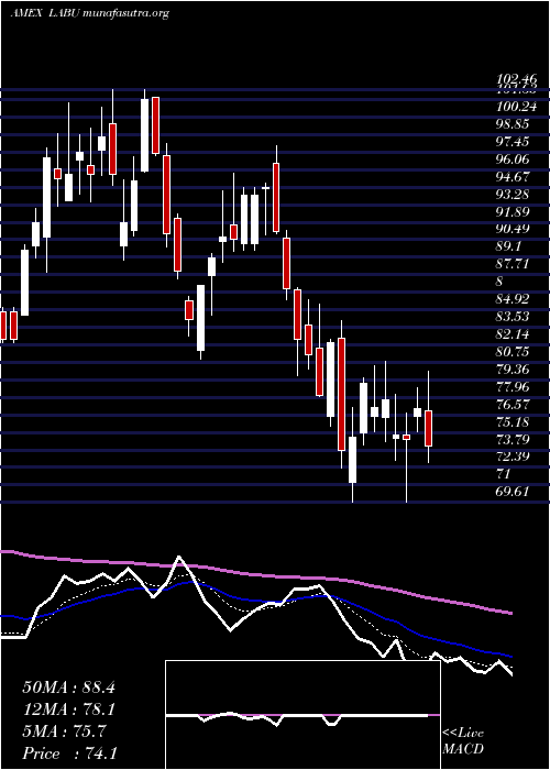  Daily chart DirexionDaily